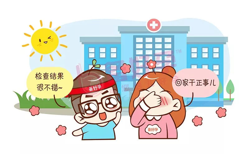 白岩松：为什么供卵试管婴儿的精子和卵子不能结合？