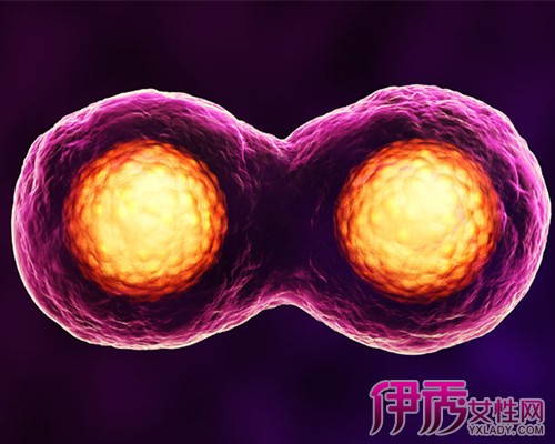 辽宁私立供卵试管婴儿医院供卵试管婴儿前男女检查项目多，过期不候