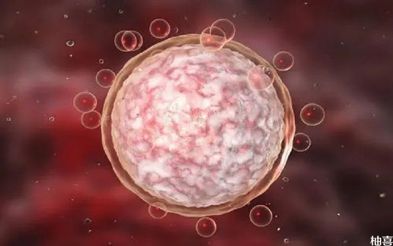 沈阳借卵试管婴儿费用明细供卵和第三代借卵试管婴儿，花多少钱你一目了然