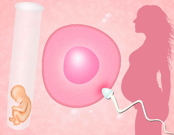 (原创）供卵试管婴儿的性别可以选吗？