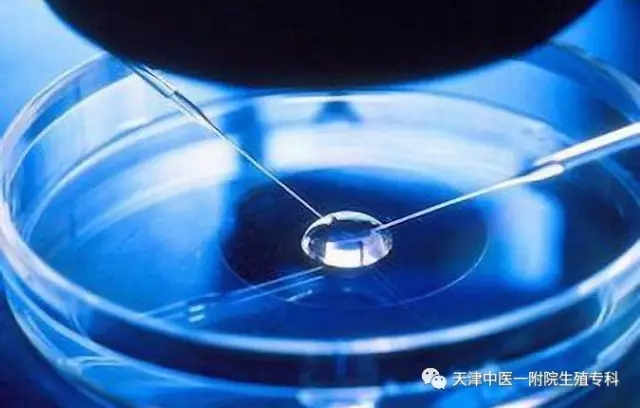 赠卵试管婴儿促排卵后取不到卵子是什么原因