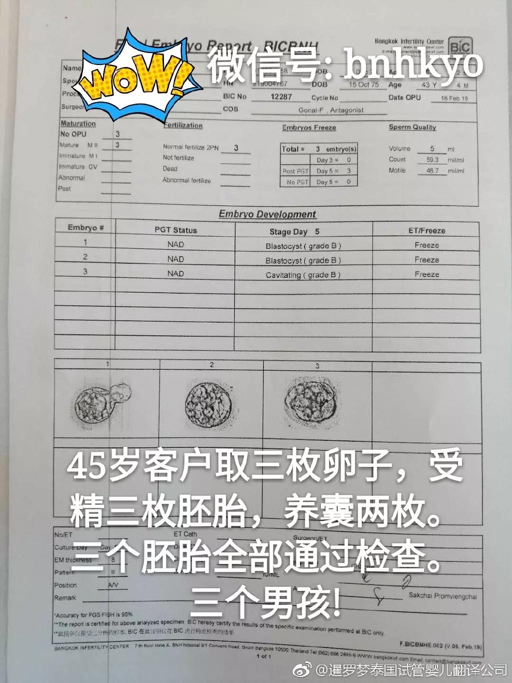 49岁可以做借卵做试管婴儿吗，对身体有什么要求？