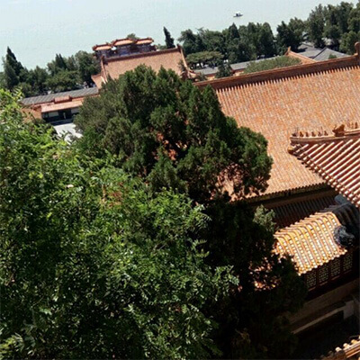 威海妇保院做供卵试管代怀供卵长方案促排的成功率高吗