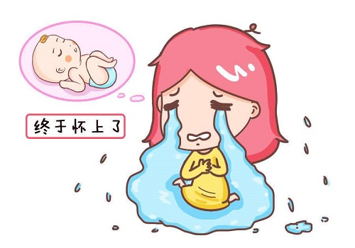 通化市供卵做借卵公立自怀试管交流群