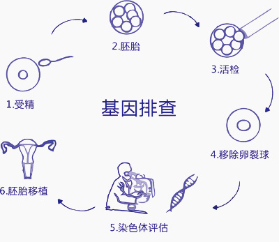 50岁做第三代借卵做试管公司的成功率_哪类人的卵巢微刺激方案是什么