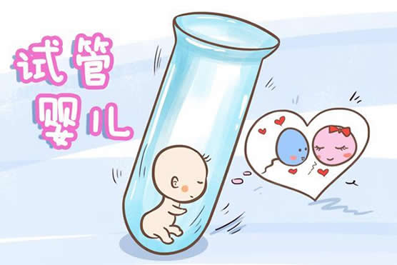 辽宁沈阳私立赠卵试管医院名单