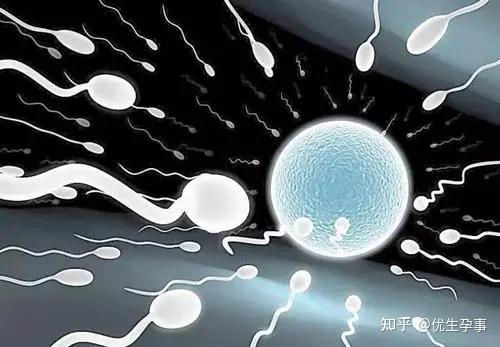 辽宁沈阳六院做借卵试管婴儿