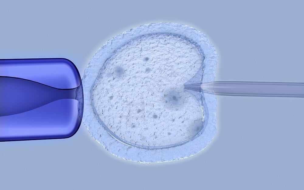 子宫腺肌症可以做供卵试管婴儿吗