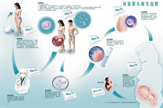 试管婴儿的程序是什么样的