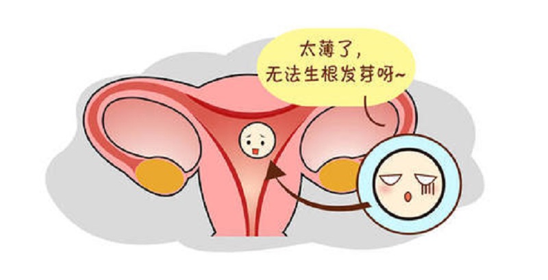 协和国际部试管婴儿费用