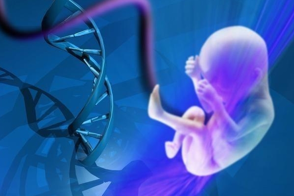 试管代怀产子费用公告移植自然周期是什么意思