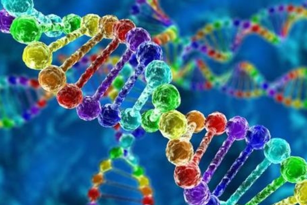 网上说怀男宝和女宝分泌物不一样,已生的宝妈来验证下+