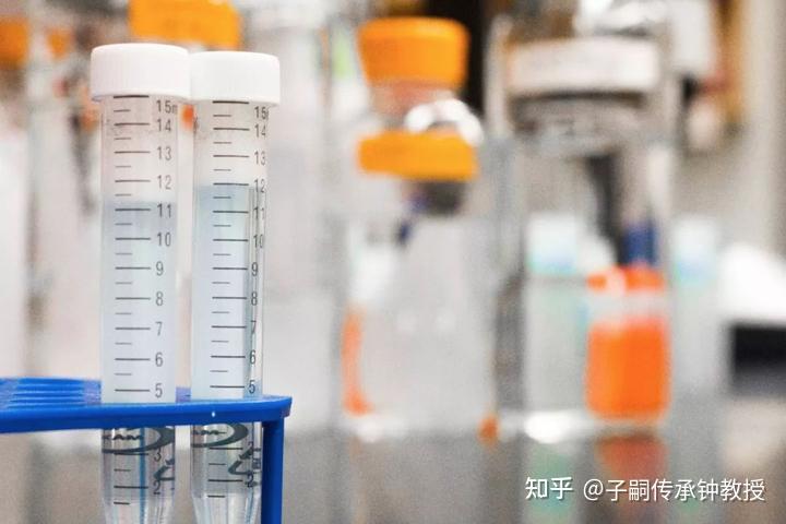 2023沈阳第三代同性恋找正规试管代怀包生男孩费用大概需要多少钱？