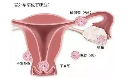 沈阳做试管的成功率+沈阳十大生殖医院排名
