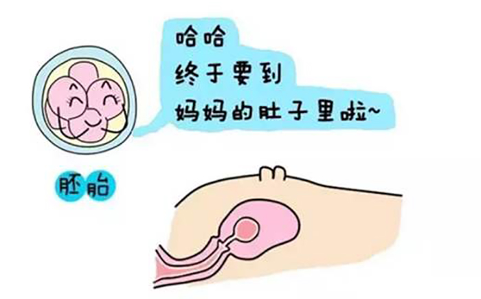 孕妇有轻微的甲亢会很容易生男孩吗？