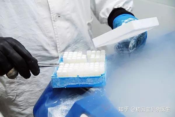 代怀儿子包成功移植后几天吃什么好