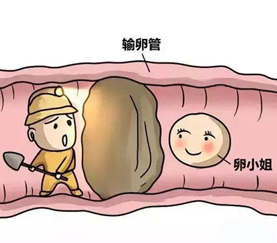 2023第三代代怀生子需要多久包生男孩费用,8-12万只是起步价