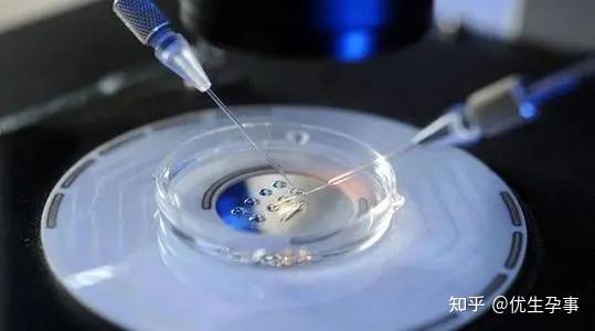 代生男孩中介排卵正常也需要做促排吗+