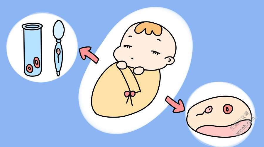 辽宁沈阳试管代怀婴儿多少费用费用大概多少