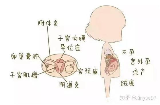 辽宁沈阳试管代怀婴儿多少费用费用大概多少
