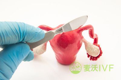 2023年辽宁沈阳能做第3代试管代怀的方式的医院名单,共2家医院拥有这项技术