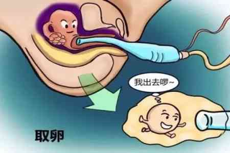 沈阳试管代怀需要哪些手续移植成功后的第一次b超？