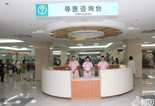 预体检中显示拥有多少基础卵泡才适合做马来西