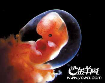 沈阳首个精子库试运行+沈阳首个精子库落户辽宁沈阳