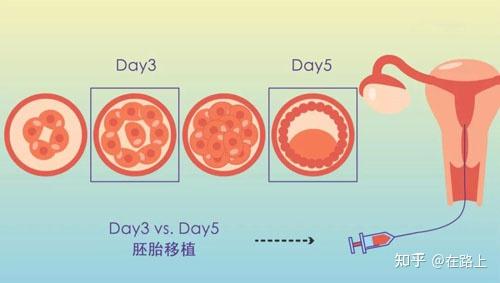 生男孩男人应该吃什么