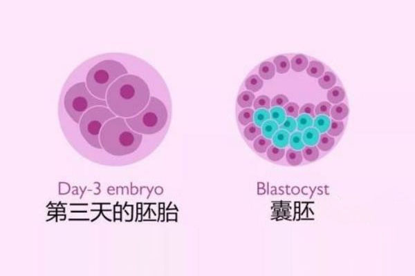 代生全包男女移植后可以喝排骨汤吗