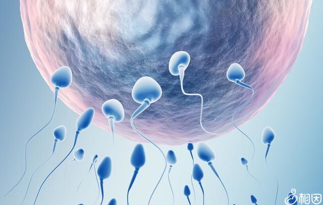2024精子分离术生男孩医院有哪些（附全国十大人工授精生男孩医院排名）