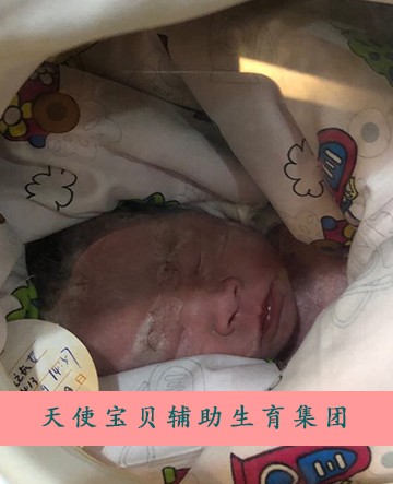 供卵受孕已成常态（如果安静已成常态）