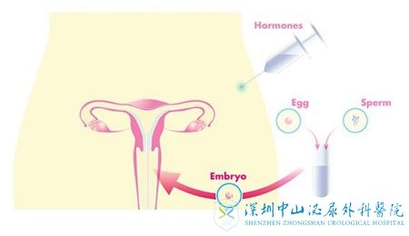 2024沈阳试管代怀男孩医院排名,附供卵机构成功率和费用一览