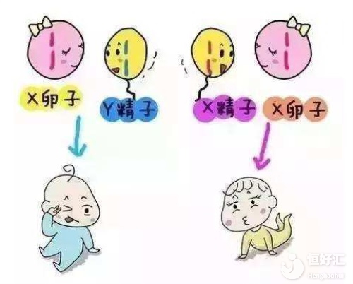 辽宁沈阳精子库捐献+辽宁沈阳有没有精子库接受捐献