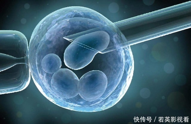 供卵代生子机构一定要剖腹产吗（害人不浅的试管谣言别再信!）