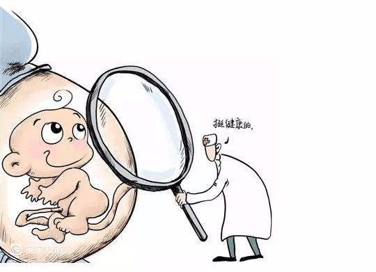 试管婴儿三代精子卵子配对配对等级